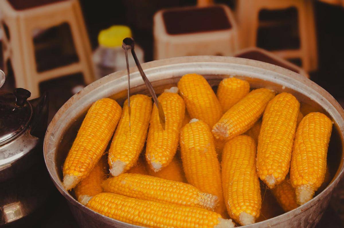 ilustrasi jagung rebus (pexels.com/Esra Kaya)