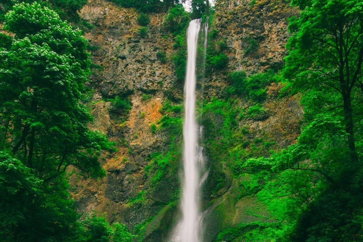 ilustrasi air terjun (pexels.com/pixabay)