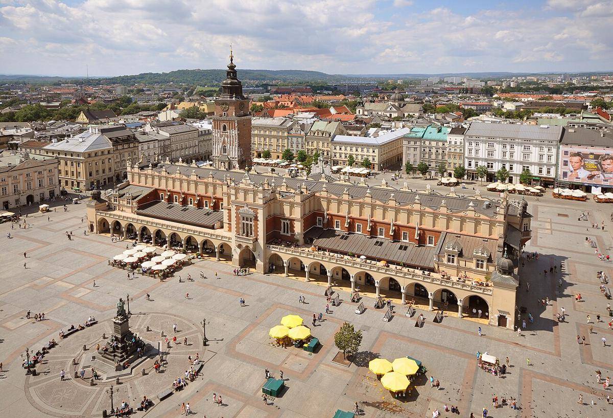 Kota Krakow