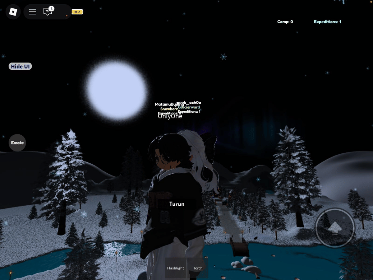 Map Eternal Ice Expedition Roblox