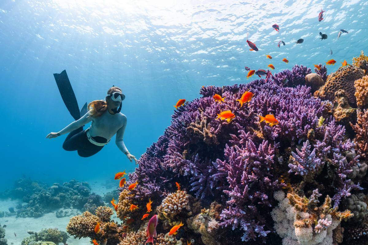 Potret orang snorkeling