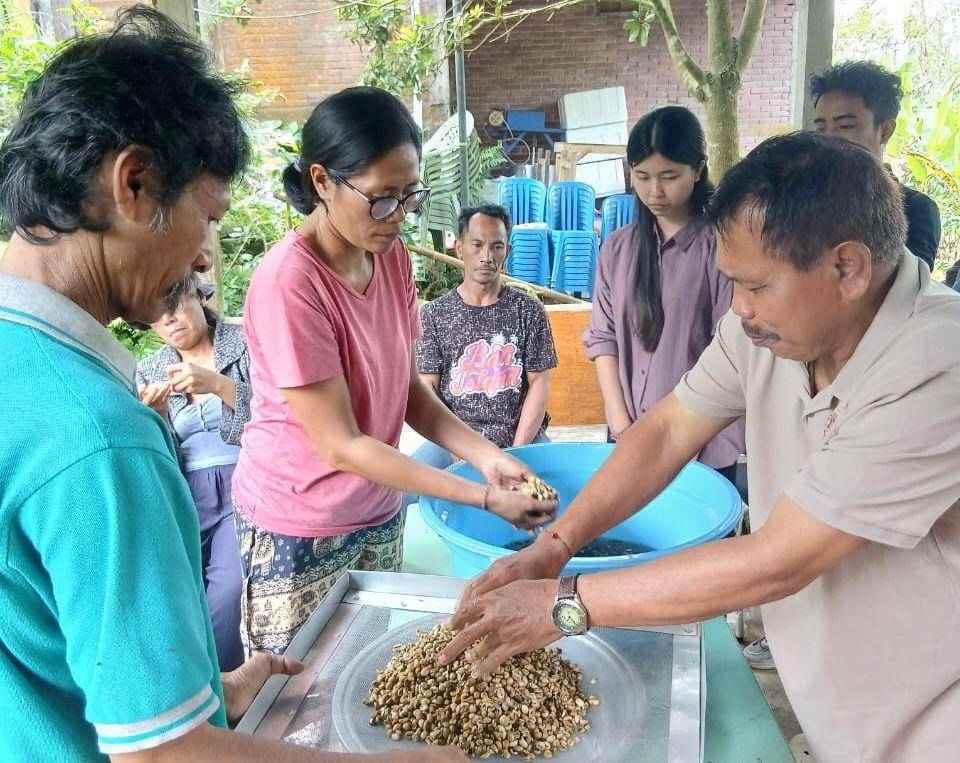 segiri kopi.jpg