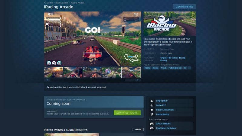 iracing casual - steam.jpg