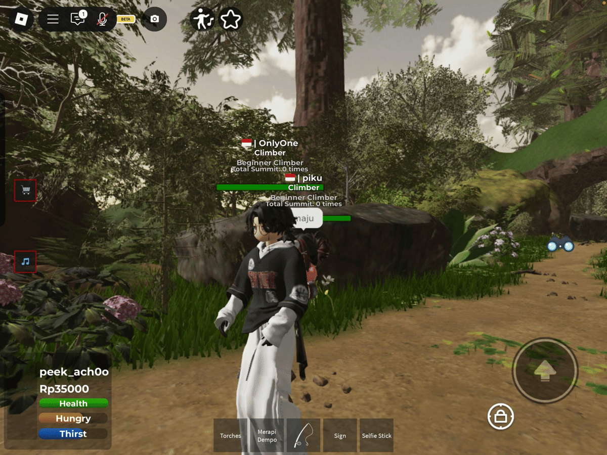 Map Mount Dempo Roblox