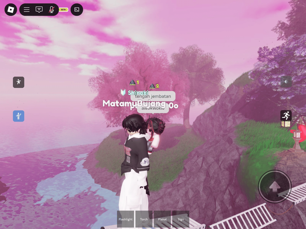 Map Mount Hanami Roblox
