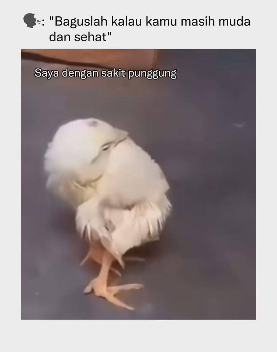 meme sakit