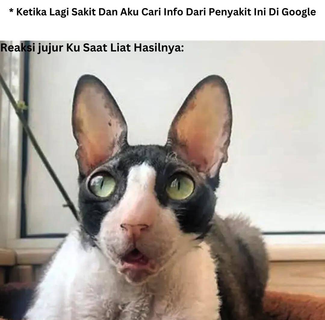 meme sakit