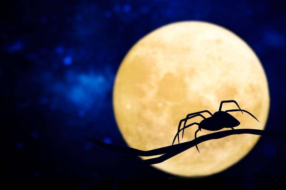 Ilustrasi gerhana bulan yang membuat serangga lebih aktif (freepik.com/rawpixel.com)