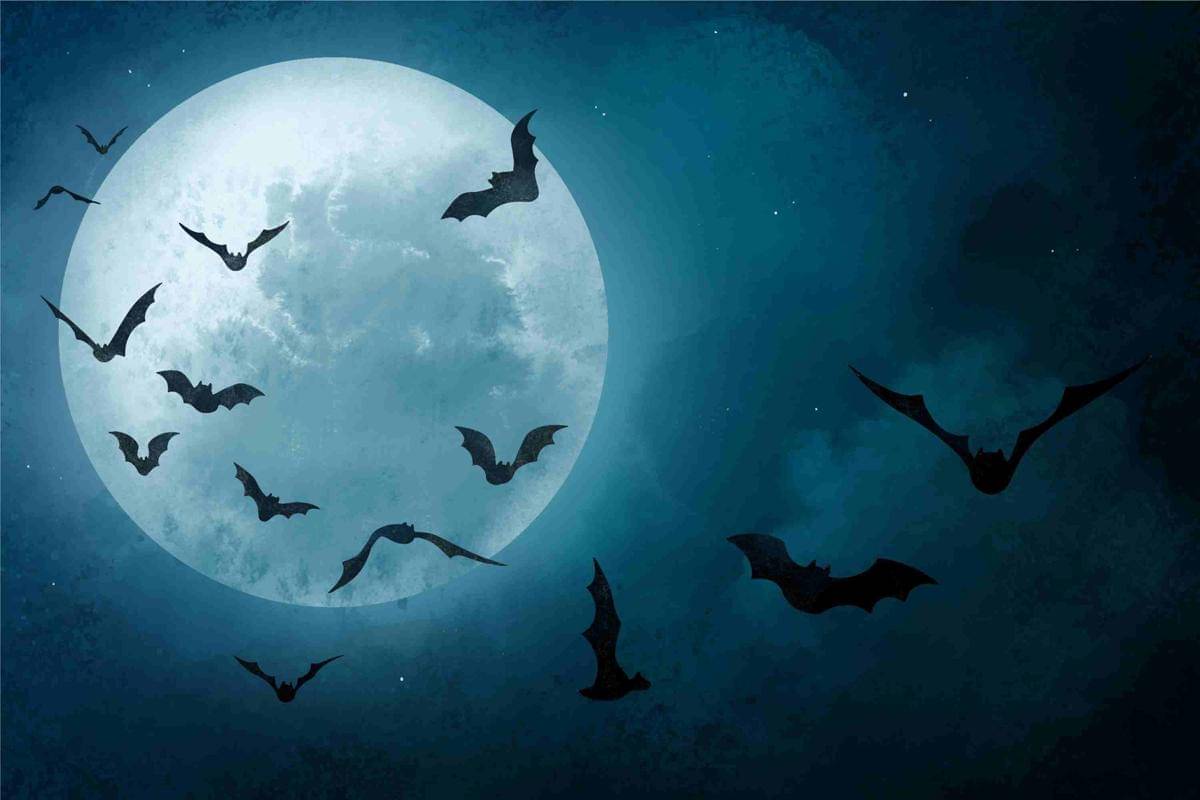 Ilustrasi kelelawar yang lebih aktif menjelang gerhana bulan (freepik.com/pikisuperstar)