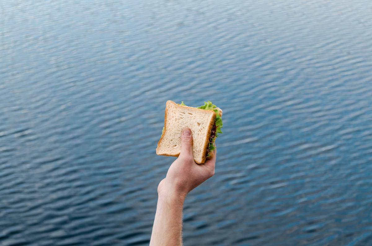 ilustrasi sandwich (unsplash.com/Ilya Shishikhin)