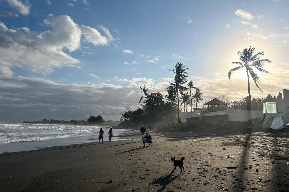 beberapa pepohonan di tepi pantai (dok.pribadi/Natalia Indah)