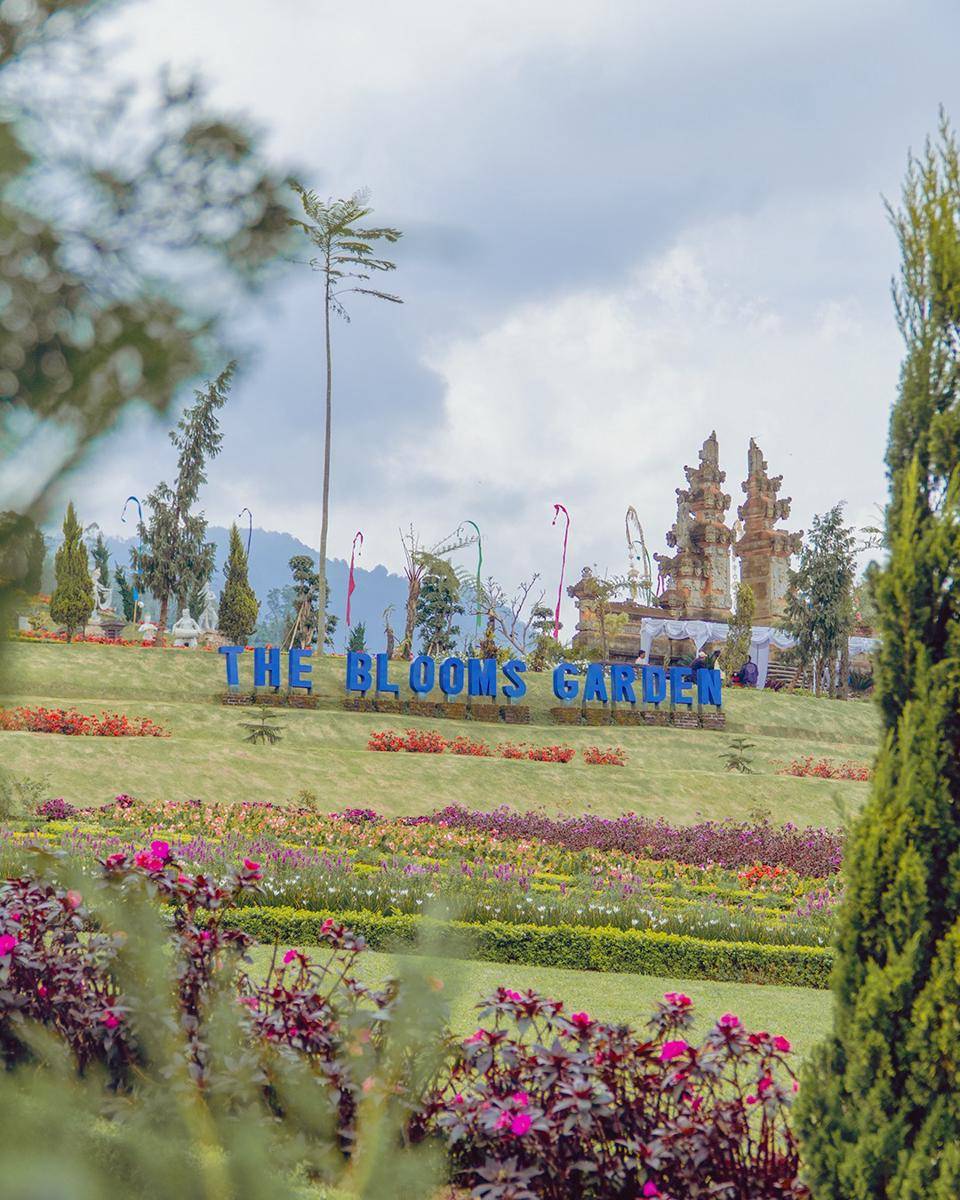 The Blooms Garden (instagram.com/thebloomsbali)