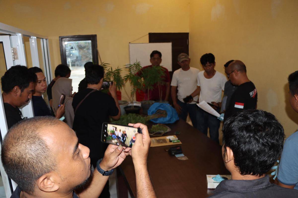Polres Bulukumba mengungkap pelaku kepemilikan ganja yang beraktivitas jual-beli melalui media sosial. (Dok. Polres Bulukumba)