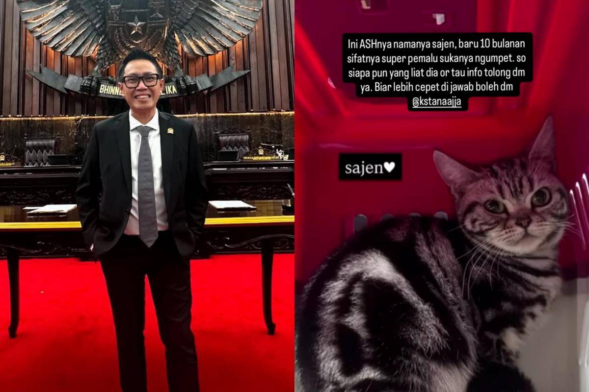 Fakta soal kucing Eko Patrio