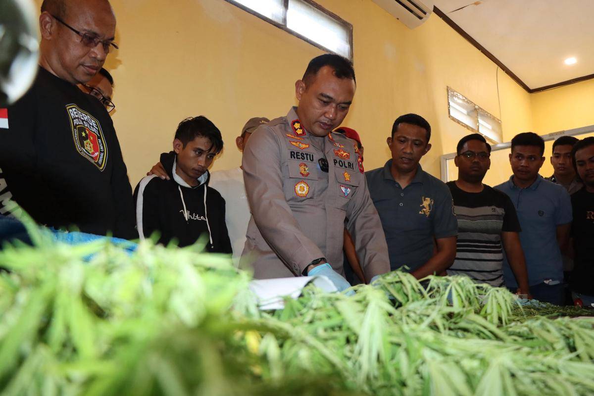 Polres Bulukumba mengungkap pelaku kepemilikan ganja yang beraktivitas jual-beli melalui media sosial. (Dok. Polres Bulukumba)
