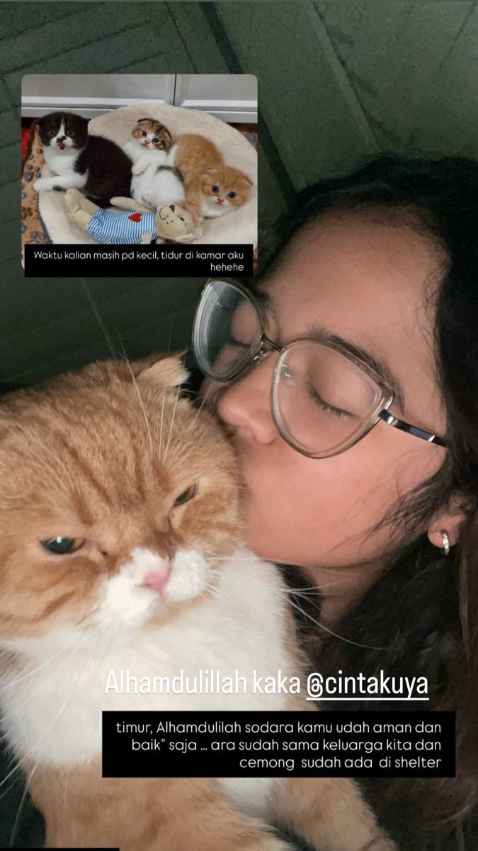 kenangan keluarga Uya Kuya dan kucing peliharaan