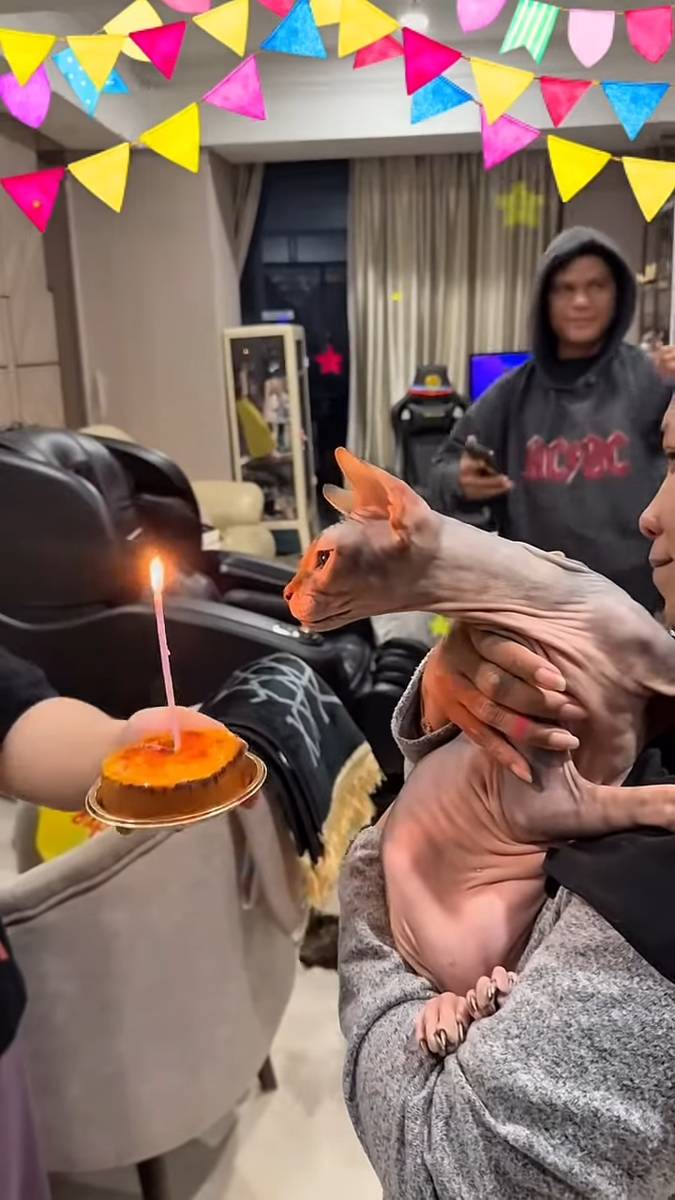 kenangan keluarga Uya Kuya dan kucing peliharaan
