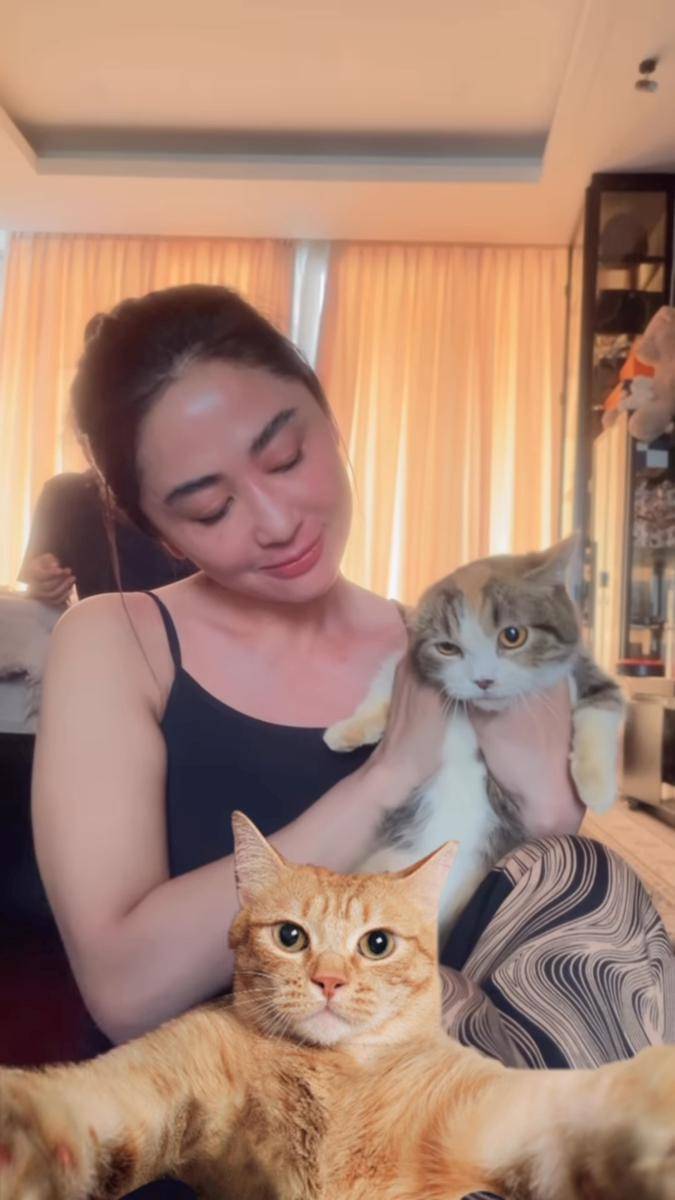 Fakta soal kucing Eko Patrio