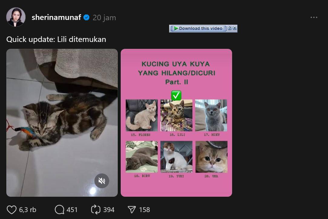 kucing Uya Kuya