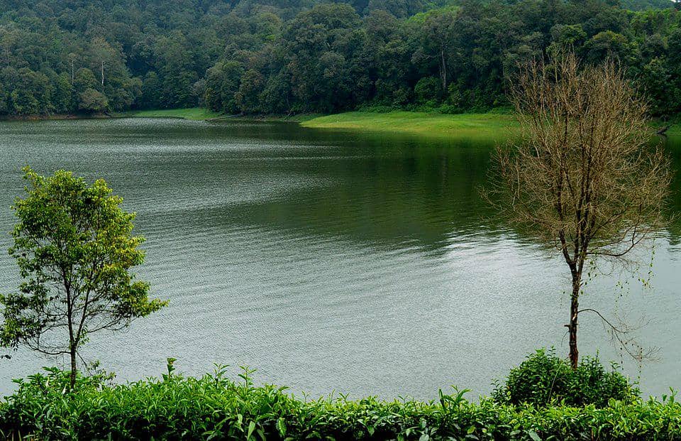 Potret Situ Patenggang, Bandung