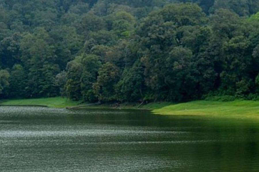 Potret Situ Patenggang, Bandung