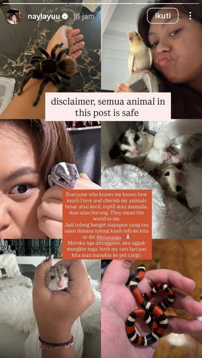 Fakta soal kucing Eko Patrio