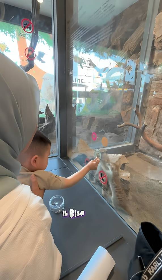 Cipung kasih makan berbagai jenis hewan