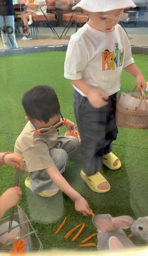 Cipung kasih makan berbagai jenis hewan