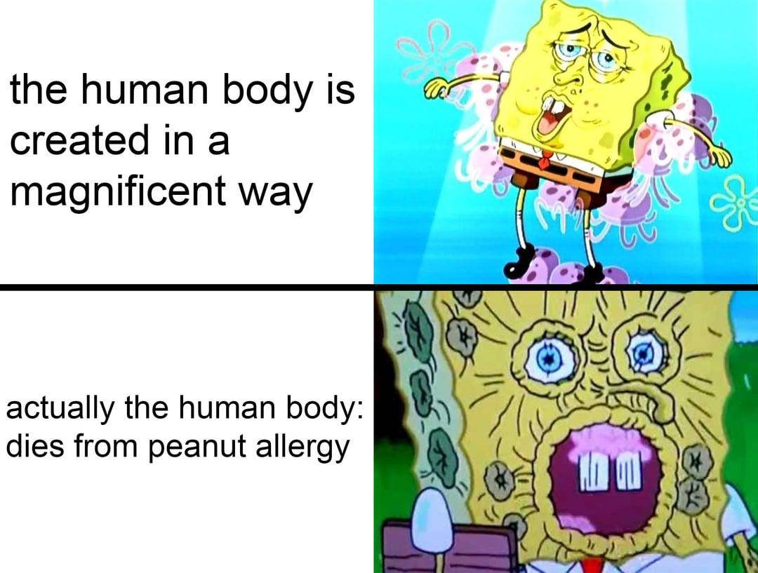 meme SpongeBob tentang alergi