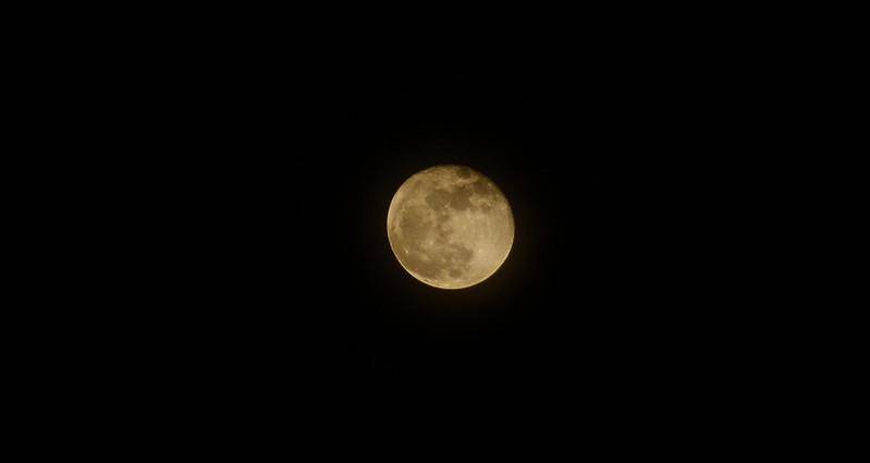 Ilustrasi corn moon yang akan muncul setelah gerhana bulan akhir pekan ini (flickr.com/Giang Khanh Hoang)