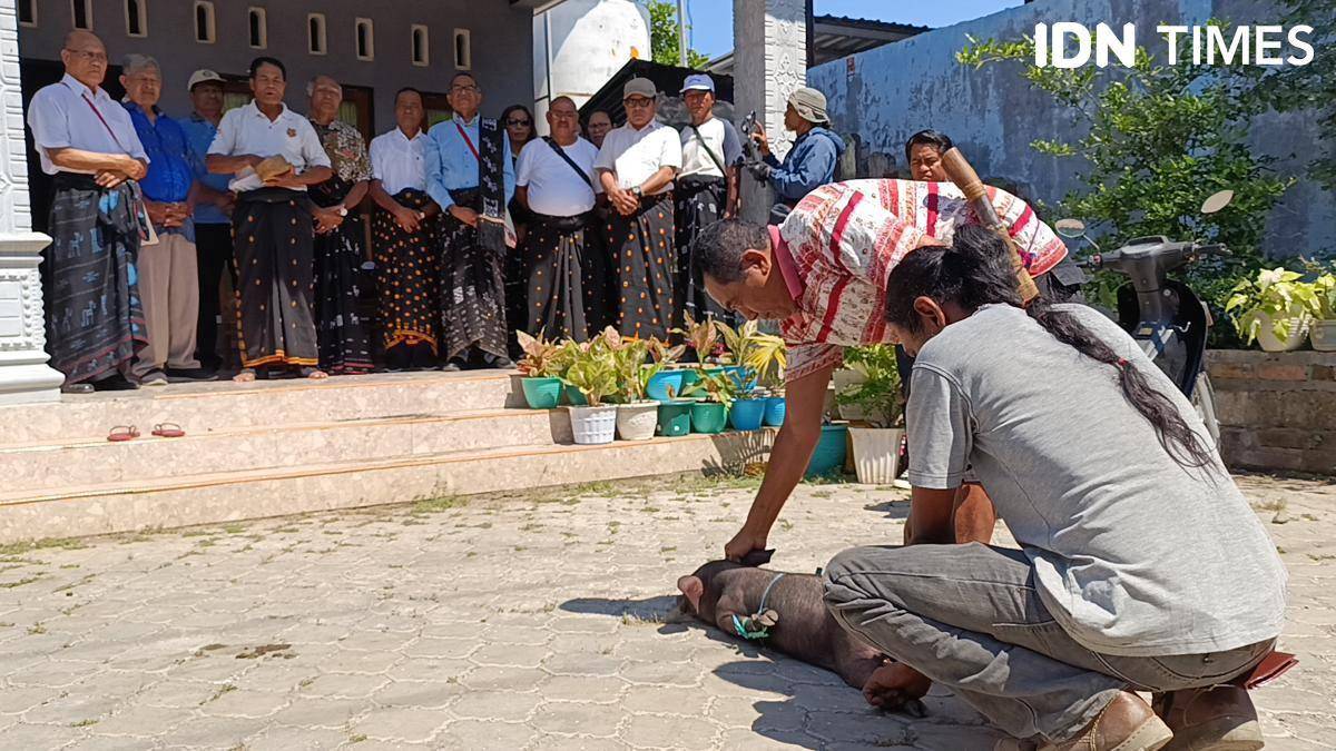 Suasana ritual adat keluarga Ngada dari Kompol Kosmas di Kupang. (IDN Times/Putra Bali Mula)