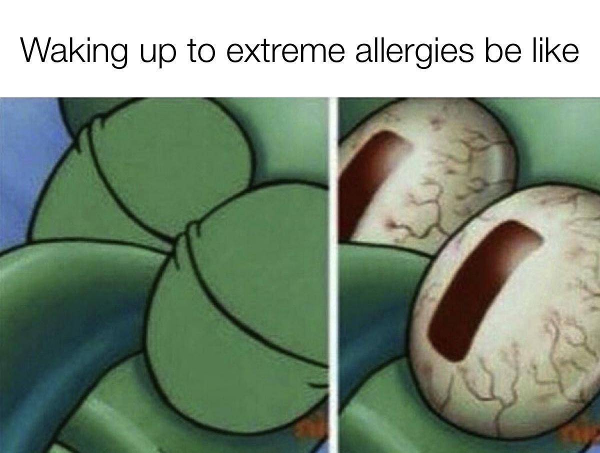 meme SpongeBob tentang alergi 