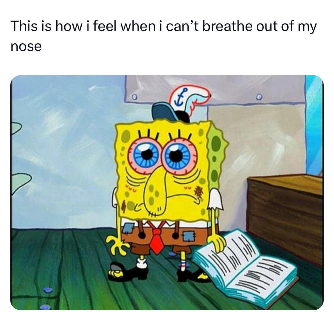 meme SpongeBob tentang alergi