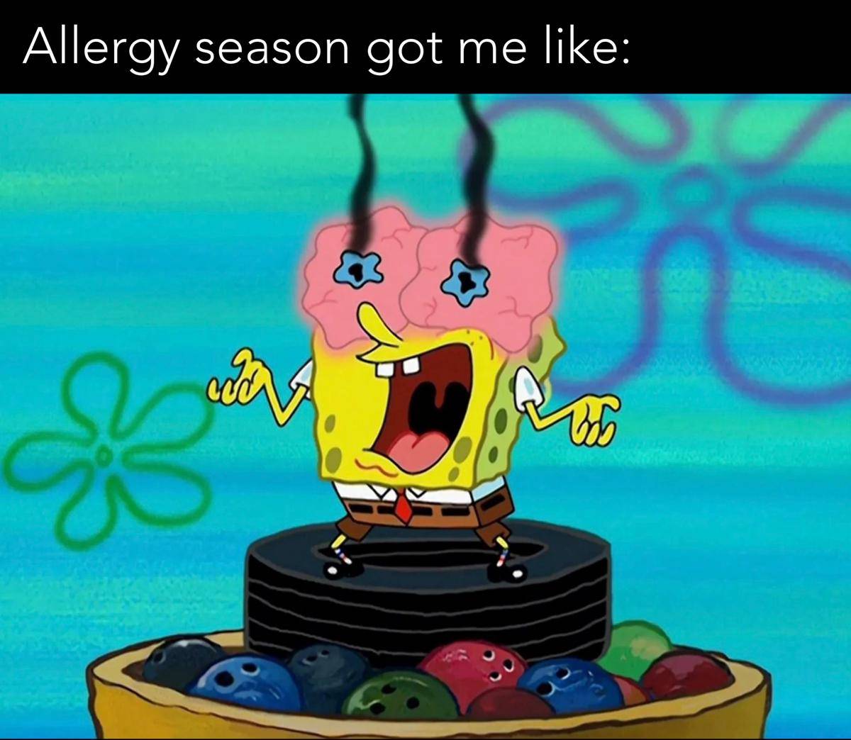 meme SpongeBob tentang alergi