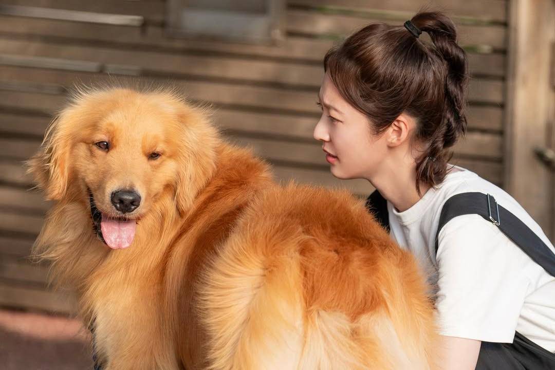 Kang Yeo Reum (Gong Seung Yeon) dan Genie di drama Korea My Lovely Journey