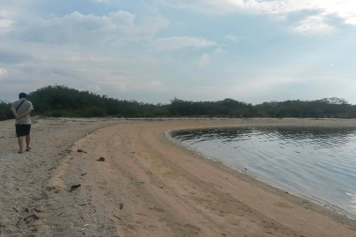 pantai di Pulau Menjangan (dok.pribadi/Natalia Indah)