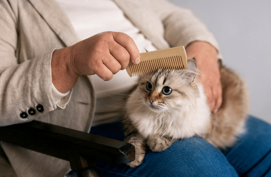 ilustrasi menyisir kucing (freepik.com/freepik)