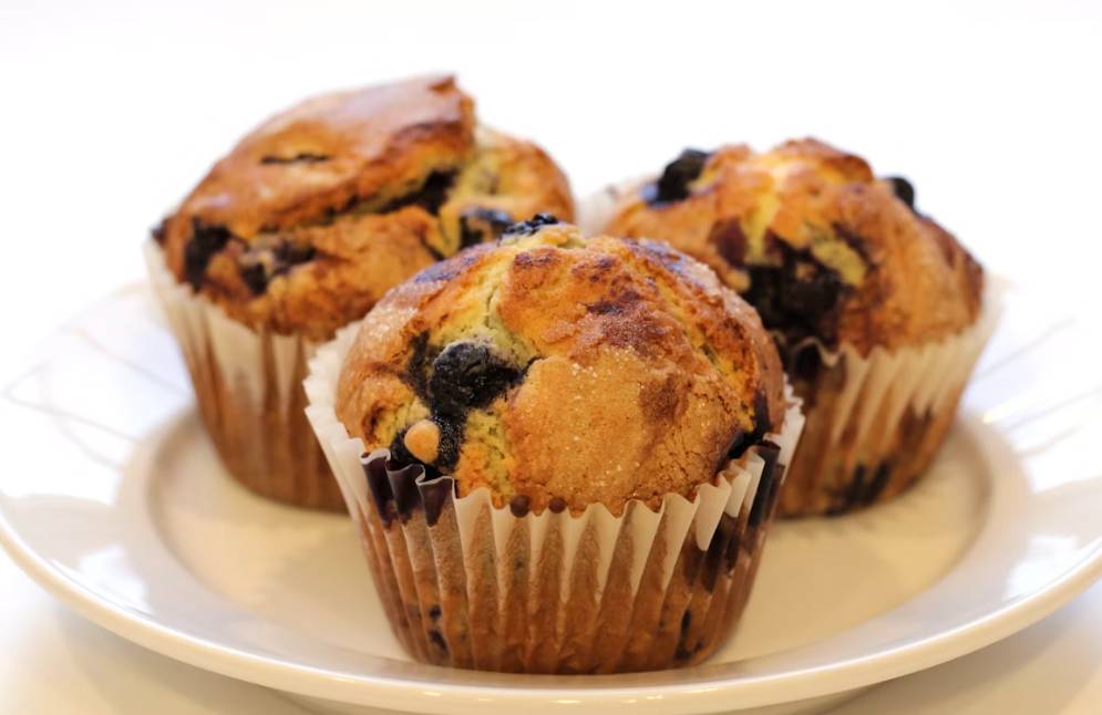 ilustrasi muffin blueberry 