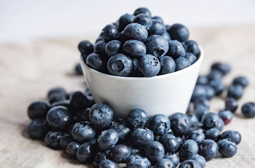 ilustrasi blueberry