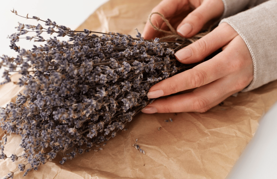 ilustrasi lavender kering (freepik.com/freepik)