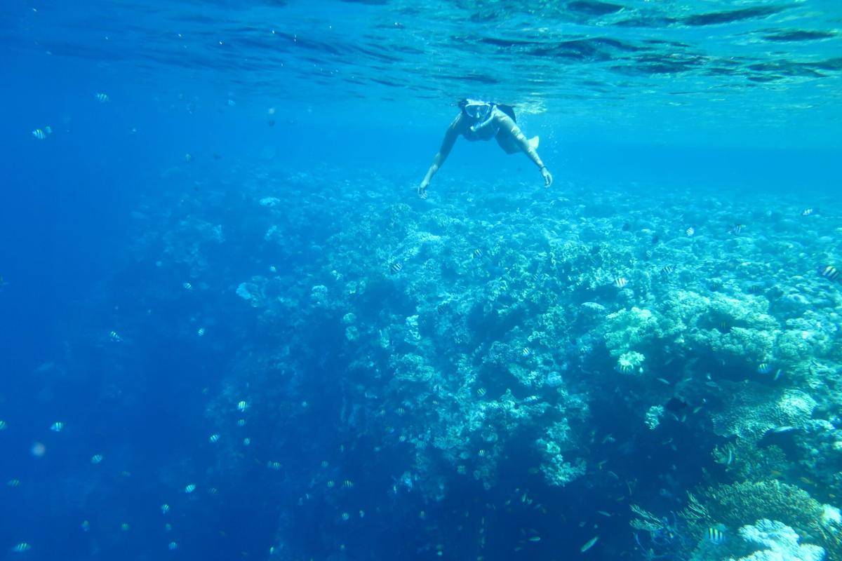 snorkeling di Pulau Menjangan (dok.pribadi/Natalia Indah)