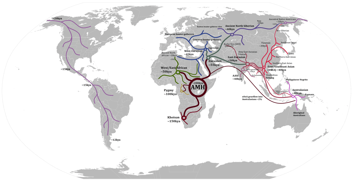 Peta migrasi out of Africa (commons.wikimedia.org/ABCymta)