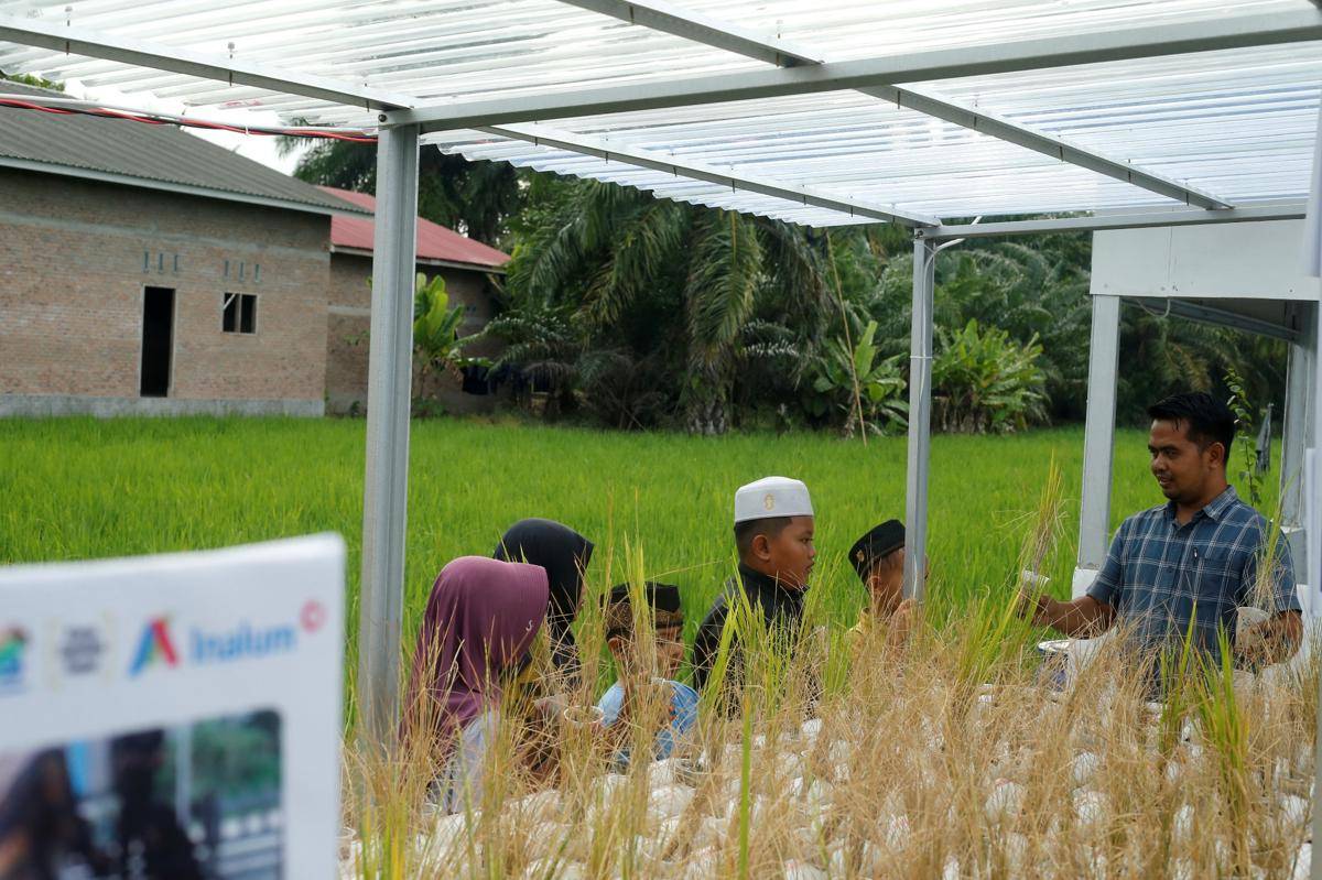 Ketua Kelompok Sadar Wisata Naharuddin menjelaskan soal padi kepada anak-anak di Kuta View, Batubara (IDN Times/Doni Hermawan)