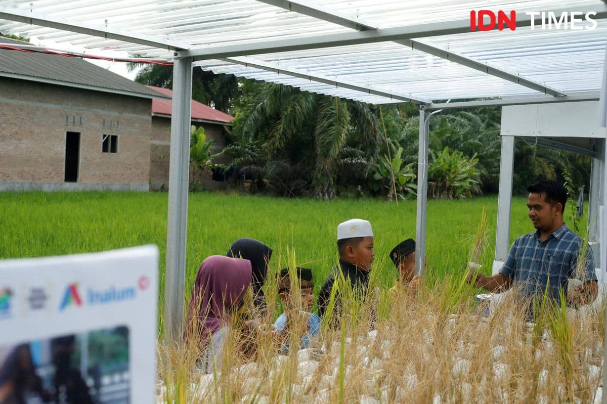 Ketua Kelompok Sadar Wisata Naharuddin menjelaskan soal padi kepada anak-anak di Kuta View, Batubara (IDN Times/Doni Hermawan)