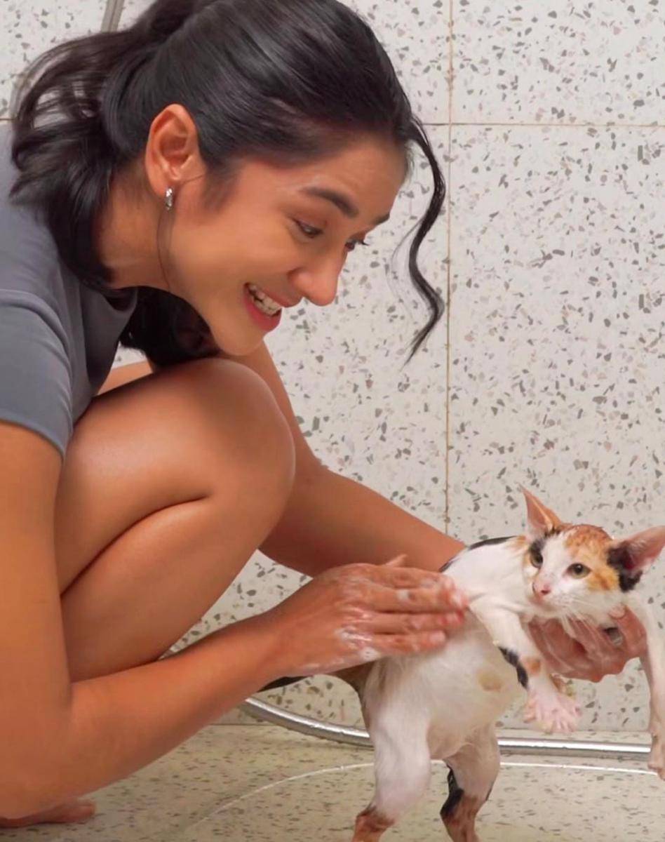 potret Fanny Ghassani mandiin kucing di rumah 