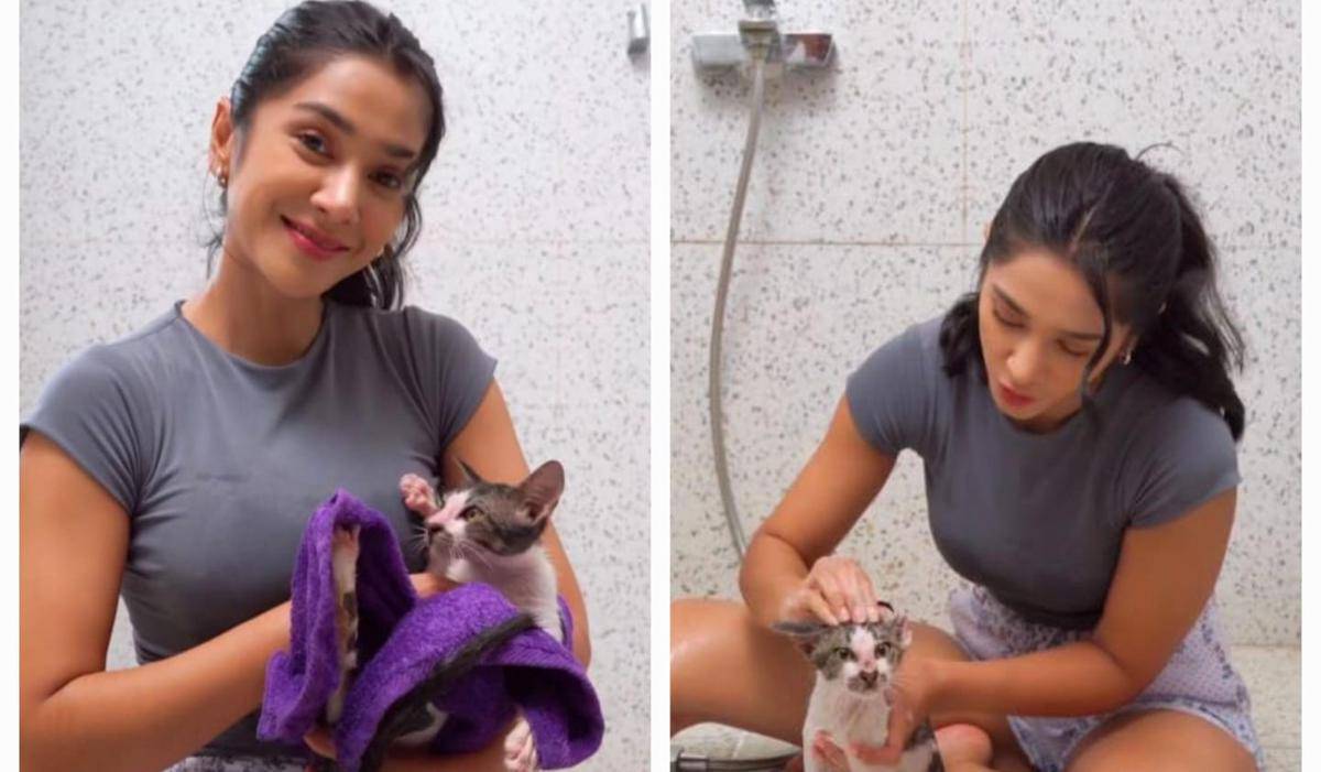 potret Fanny Ghassani mandiin kucing di rumah