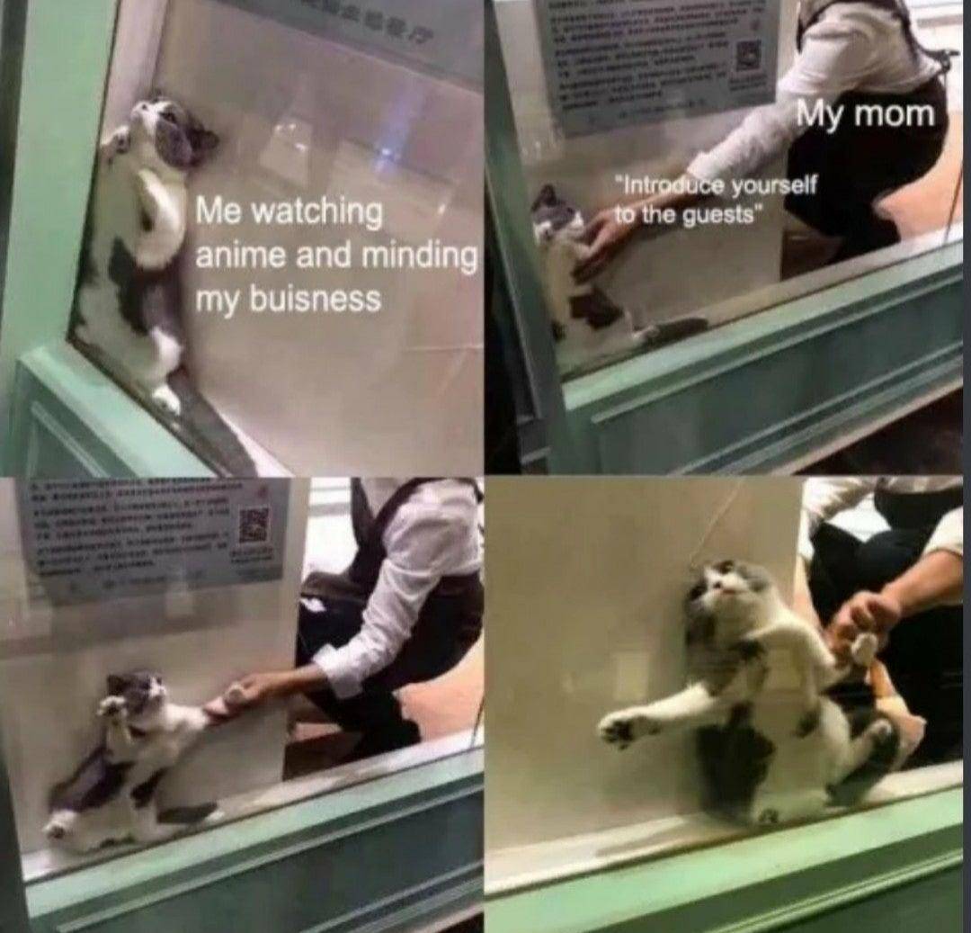 meme anime tentang bersosialisasi