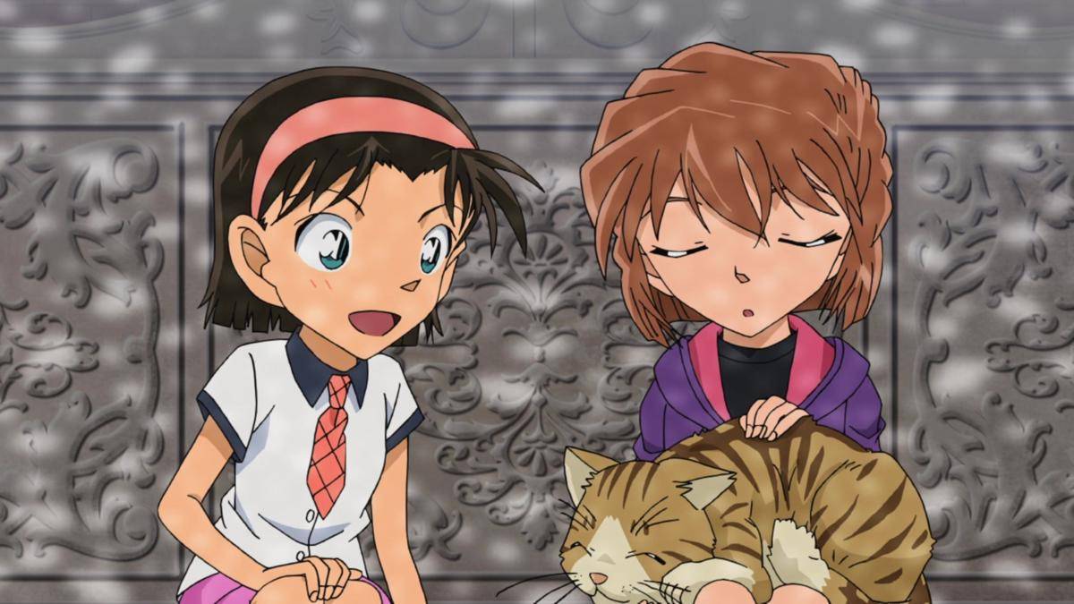 Cuplikan anime Detective Conan (dok. TMS Entertainment/Detective Conan)