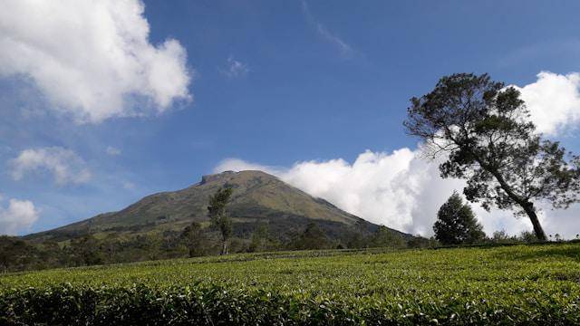 ilustrasi Gunung Sindoro