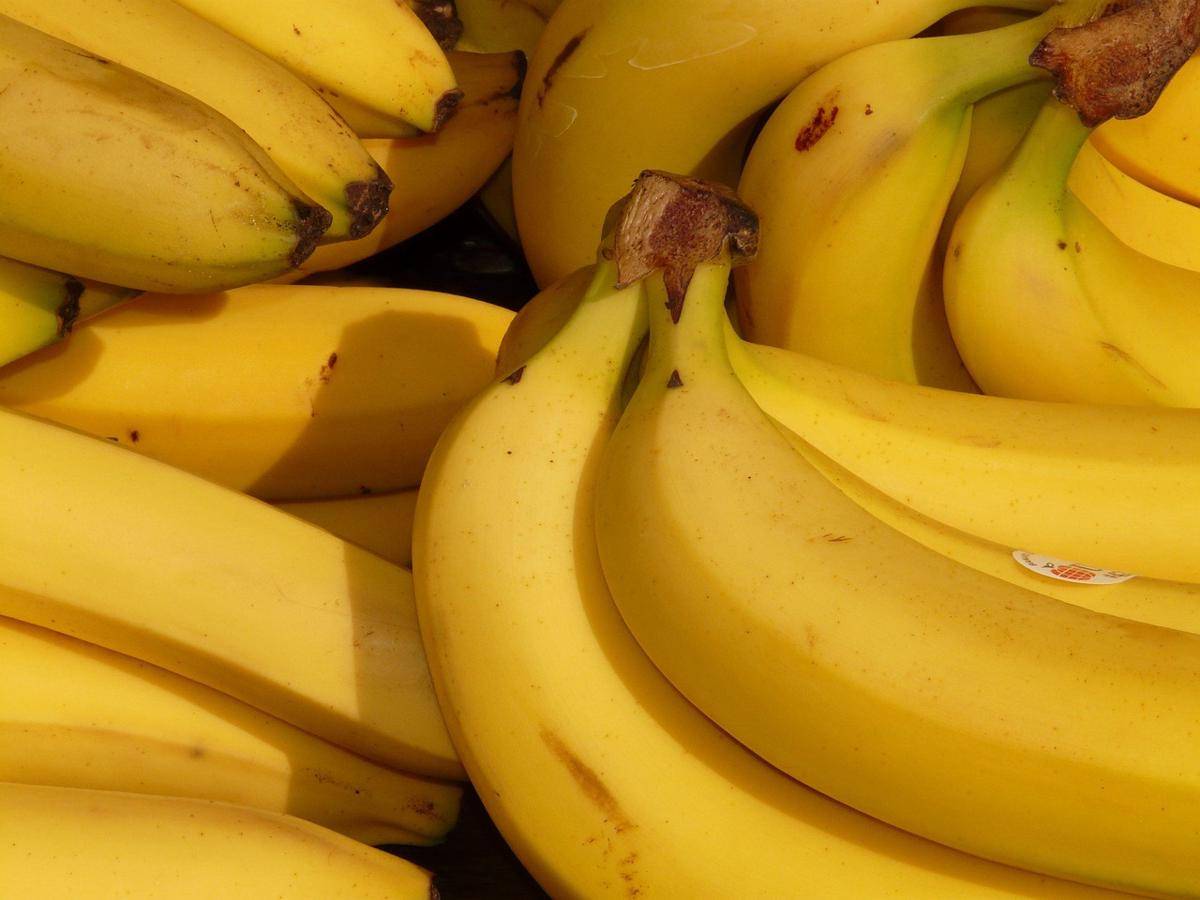 ilustrasi pisang